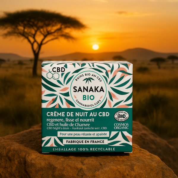 ChatGPT Image 18 oct. 2025, 18_06_27